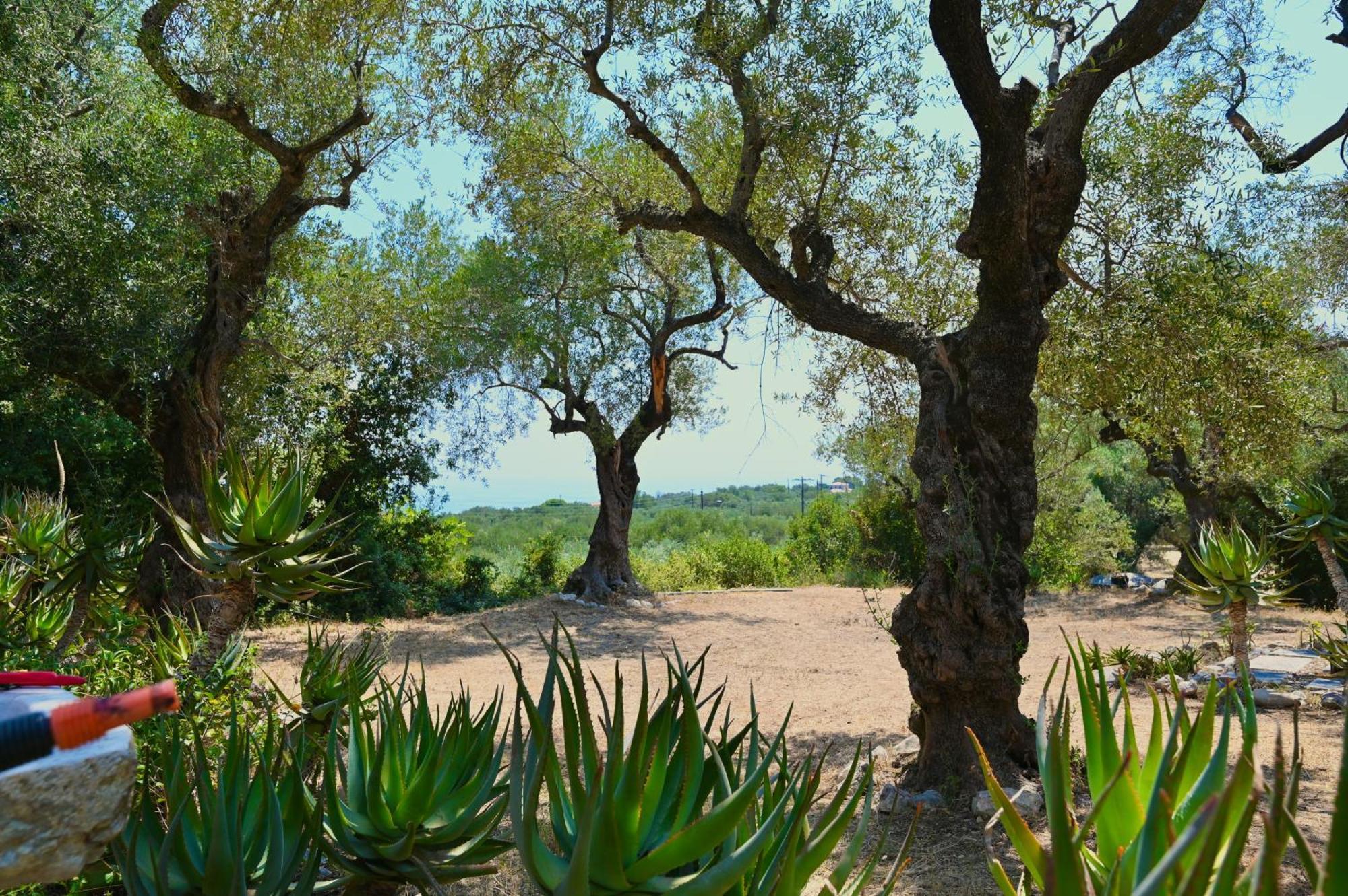 Robin Hood Ferienhaus Akrotiri (Zakynthos)